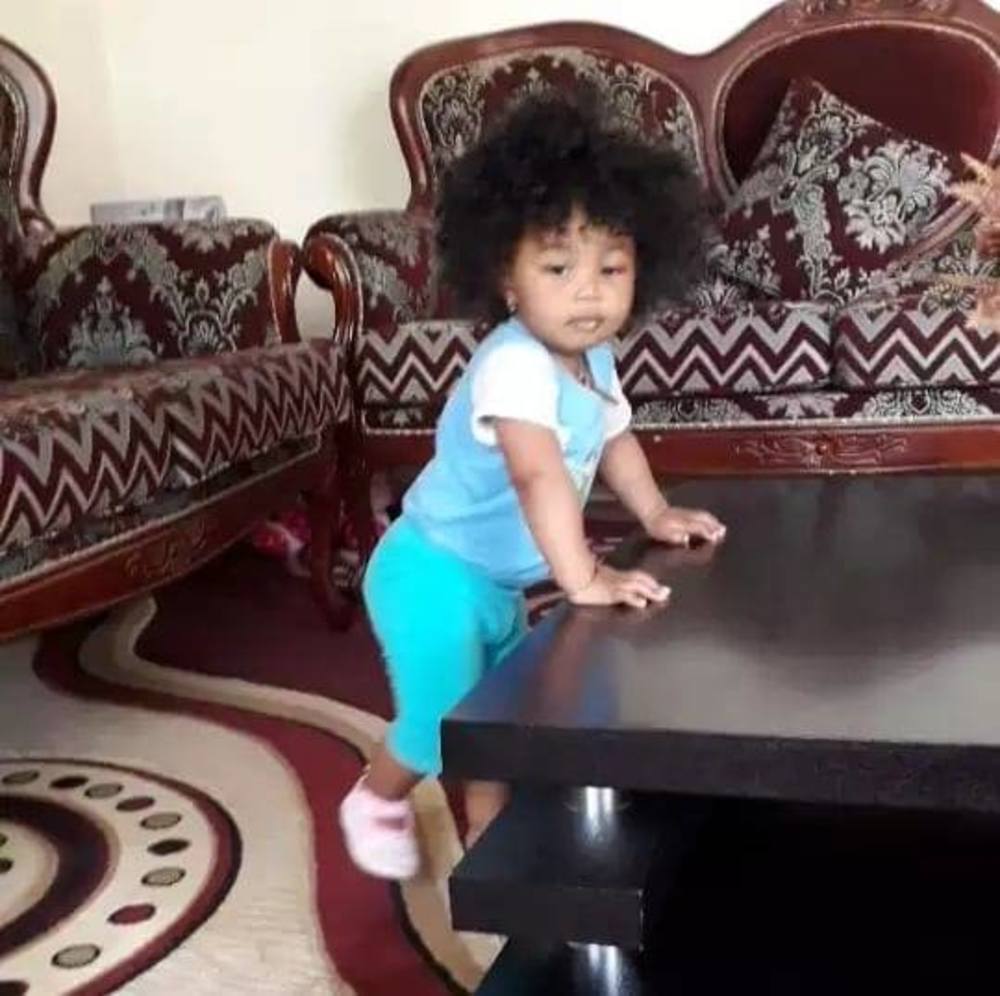 Meet your Posher, Teddy